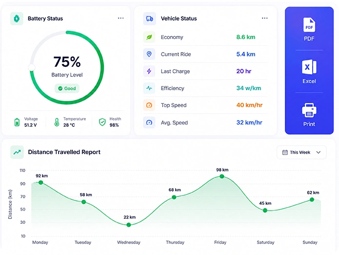 Insights & Reports