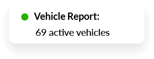 Vehicle Report