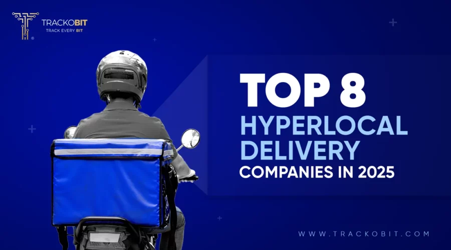 Top 8 Hyperlocal Delivery Companies in 2025