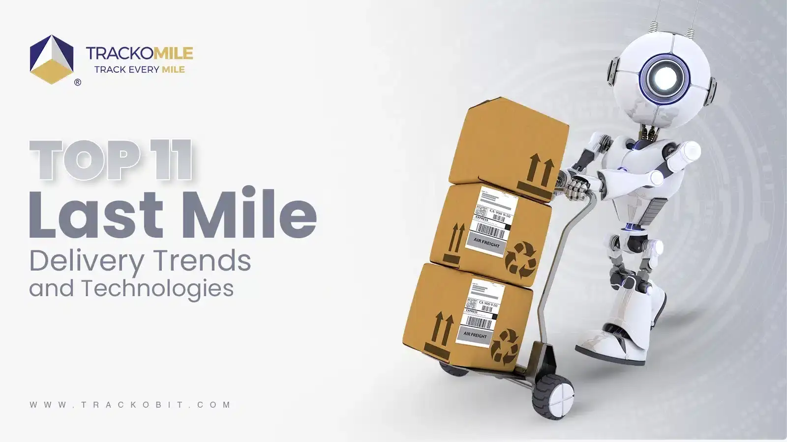 Top 11 Last Mile Delivery Trends and Technologies