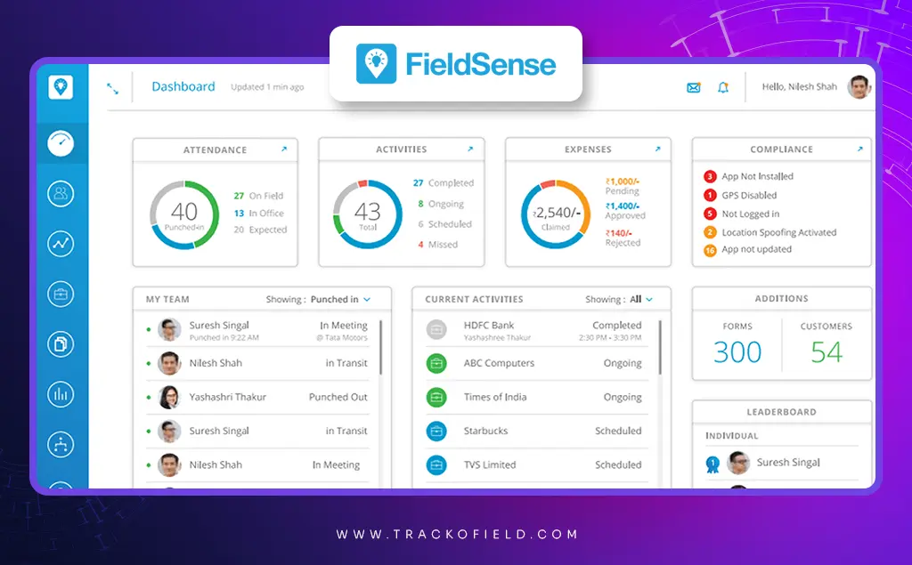 Fieldsense