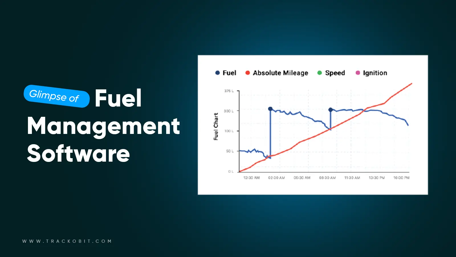 Glimps of Fuel Management Software