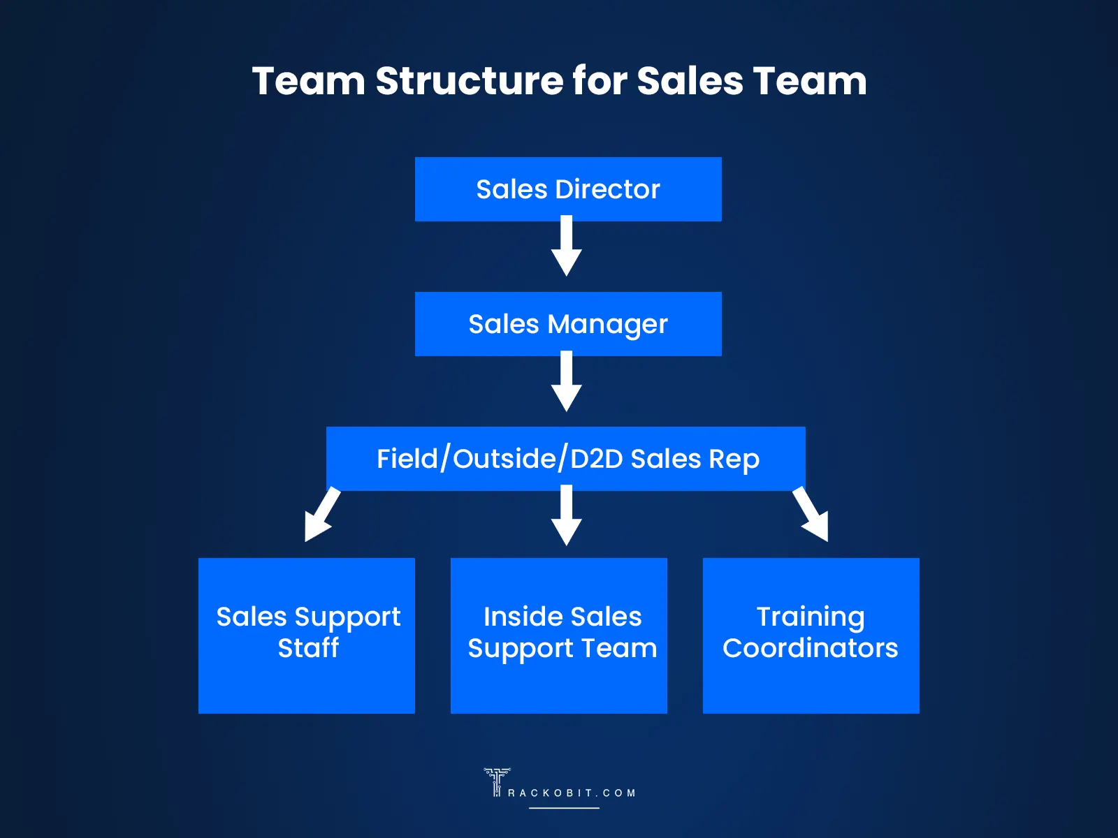 Team Structure for Sales Team