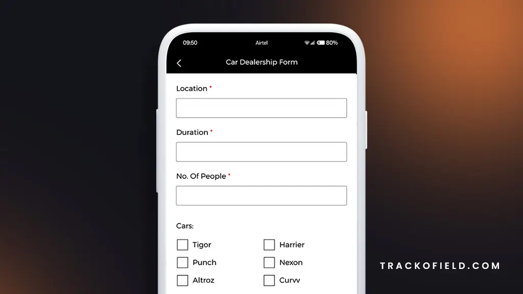 A Sample Car Dealership Form