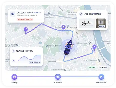 Real-Time Visibility & Tracking