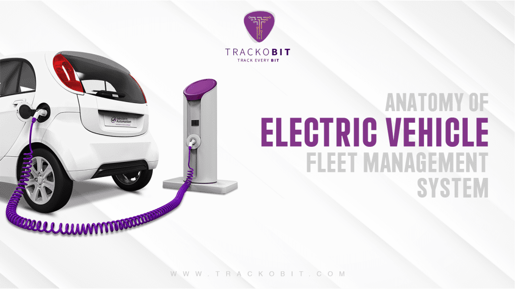 Discover the Anatomy of Electric Vehicle Fleet Management System