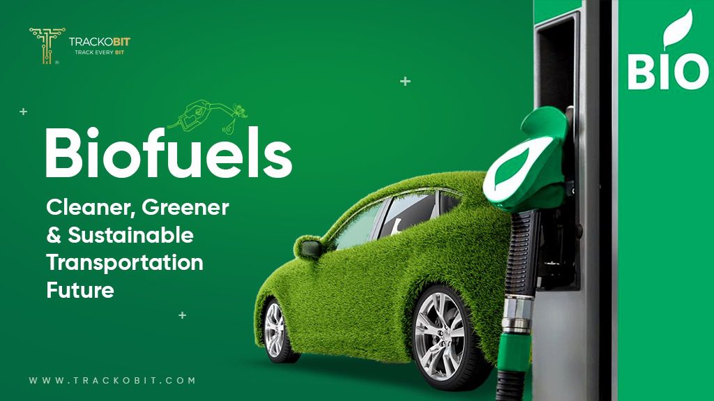 Bioethanol: Driving Towards a Greener Future