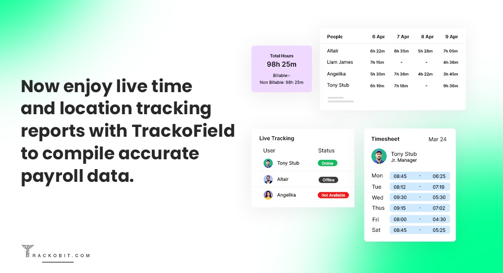Live Time and payroll tracking Reports