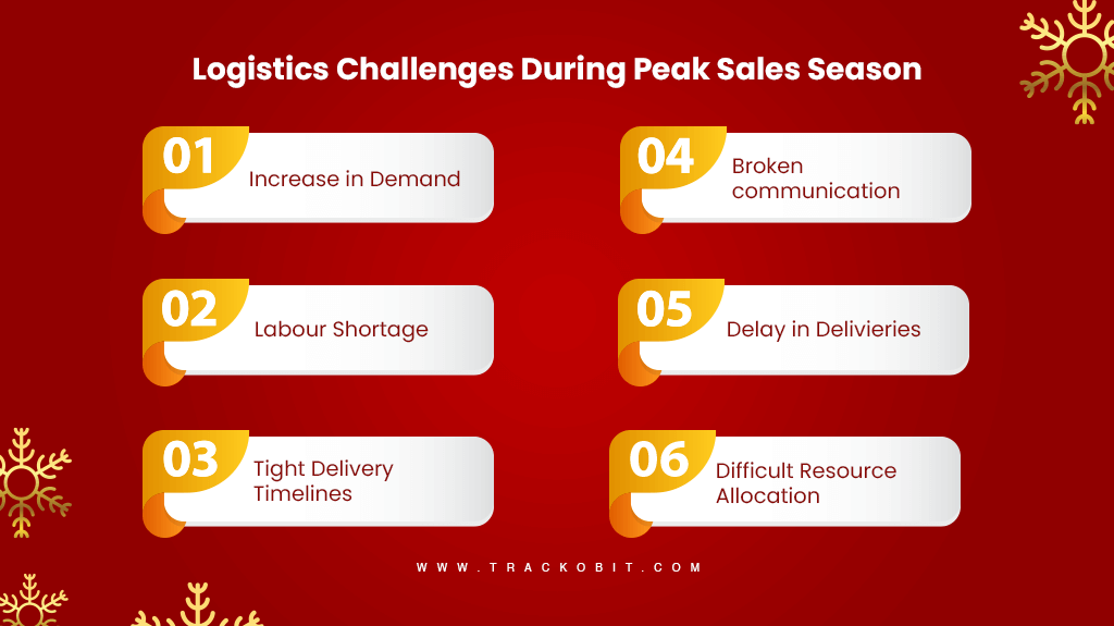 Logistics Challenges During Peak Sales Season