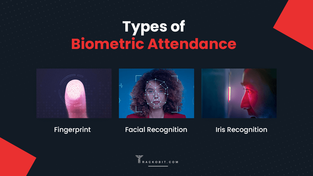 Types of Biometrics Employee Attendance