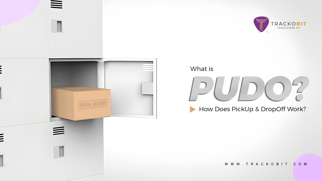 What is Pudo & How does pickup and dropoff work