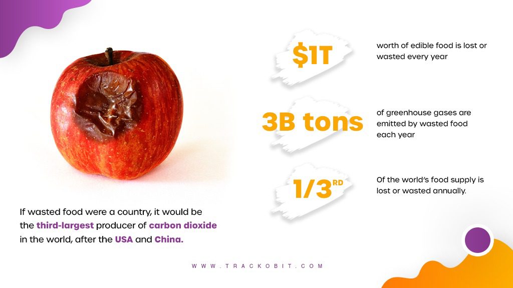 Wasted Food is the third largest producer of Carbon Dioxide