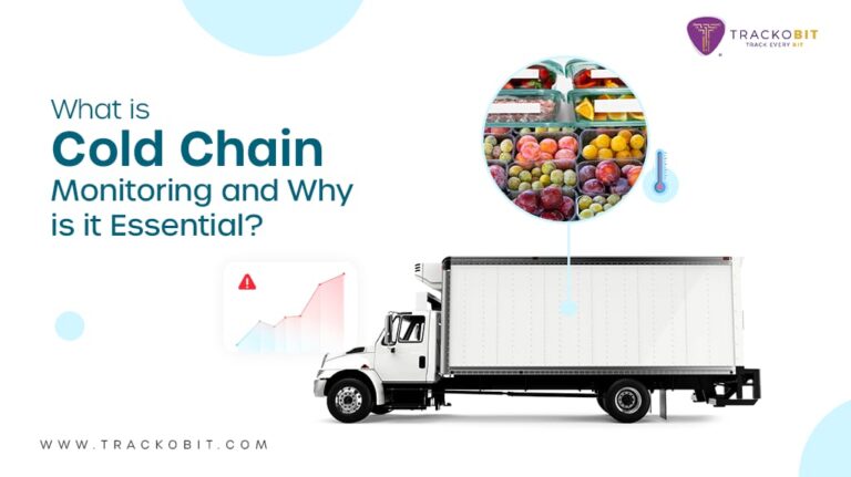 What Is Cold Chain Monitoring And Why Is It Essential?