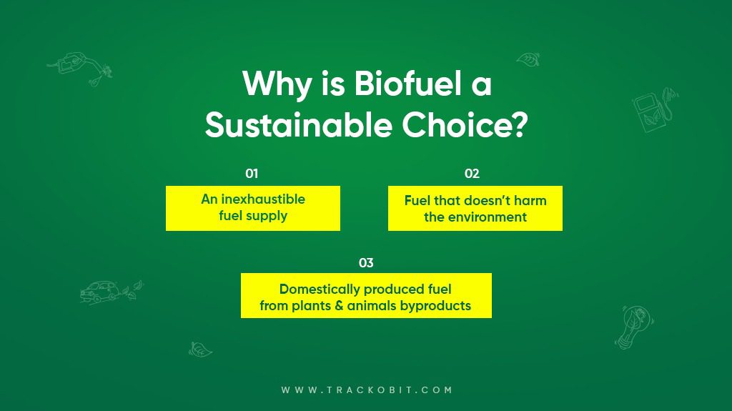 Why is Biofuel A sustainable Choice