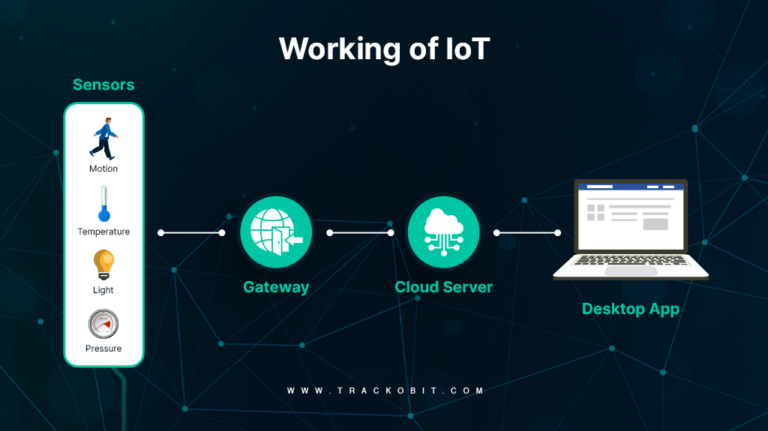 How IoT Vehicle Tracking Systems Improve Driver Safety? 5 Ways Listed